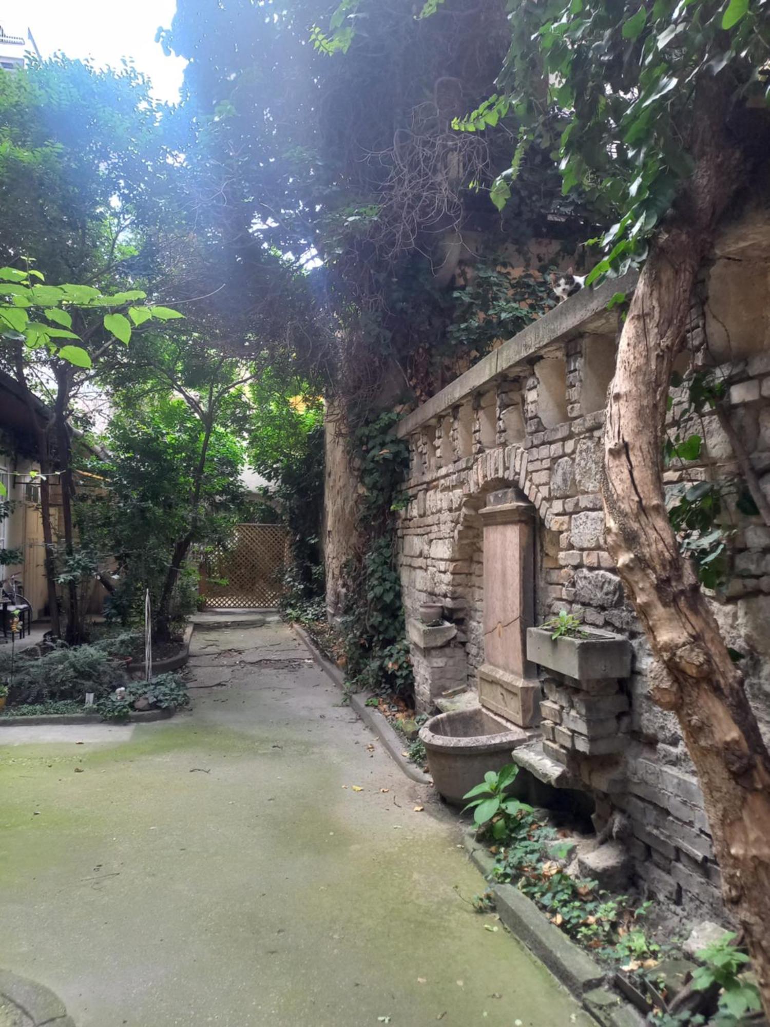 Mysterious Garden *