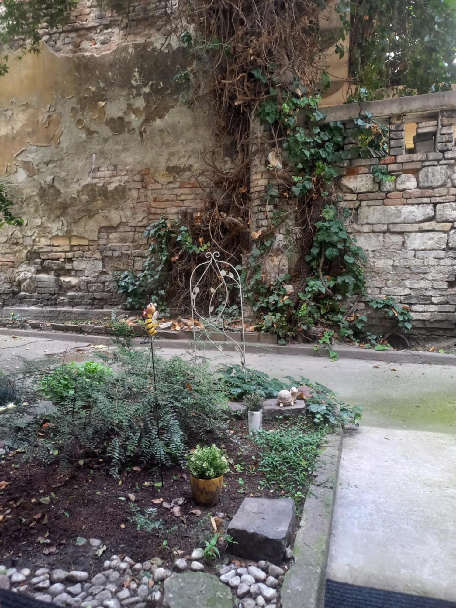 Appartement Mysterious Garden