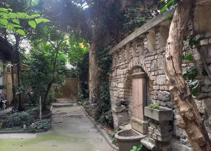 Mysterious Garden